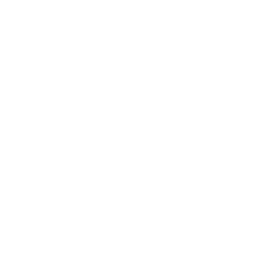 Bayer
