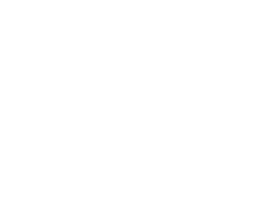 Lerros